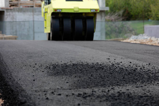 Best Concrete Paver Driveway  in Ludowici, GA