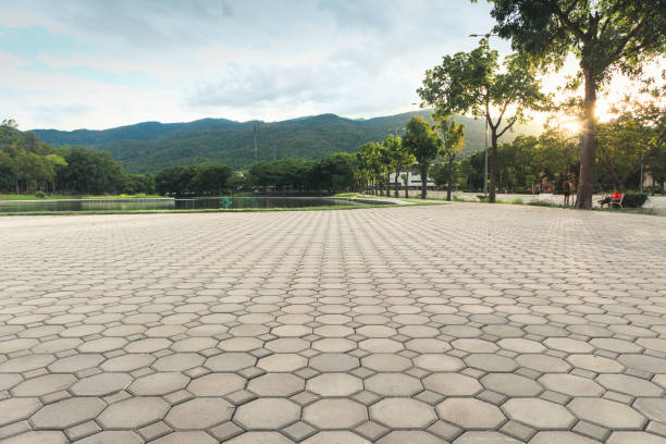 Best Interlocking Driveway Pavers  in Ludowici, GA